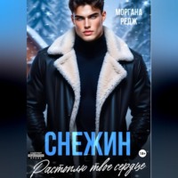Снежин. Растоплю твое сердце