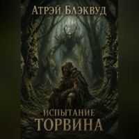 Испытание Торвина