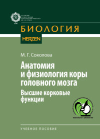 Анатомия и физиология коры головного мозга. Высшие корковые функции