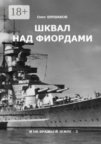 Шквал над фиордами. И на вражьей земле — 3