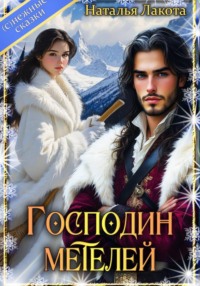 Господин Метелей