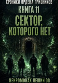 Хроники Ордена Грибников. Книга 11. Сектор, которого нет