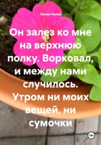 Он залез ко мне на верхнюю полку. Ворковал, и между нами случилось. Утром ни моих вещей, ни сумочки