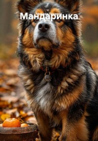 Мандаринка