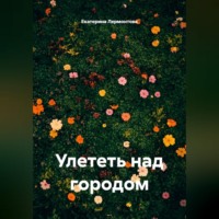 Улететь над городом