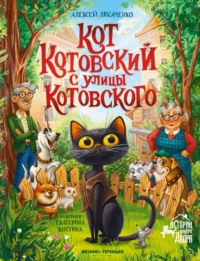 Кот Котовский с улицы Котовского