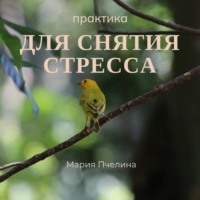 Практика для снятия стресса