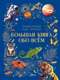 Большая книга обо всём