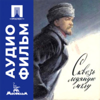 Сквозь ледяную мглу - аудиофильм