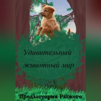 Удивительный животный мир. Предыстория Рыжего