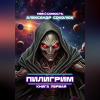 Пилигрим: книга первая