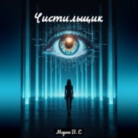 Чистильщик