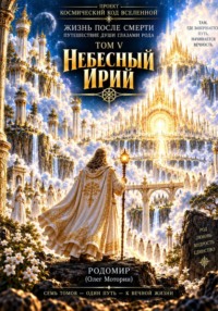 Жизнь после смерти. Путешествие души глазами Рода. Том 5. Небесный Ирий