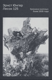 Лесок 125. Хроника окопных боев 1918