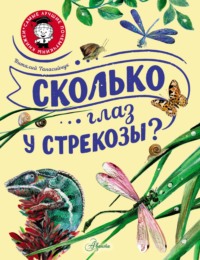 Сколько глаз у стрекозы?