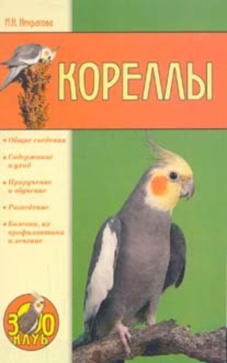 Кореллы