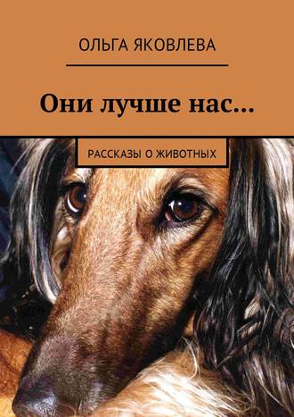 Они лучше нас… Рассказы о животных