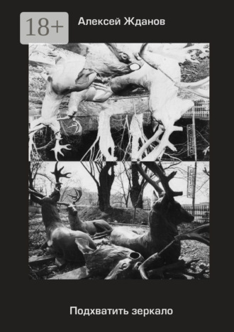 Подхватить зеркало. Роман с самим собой