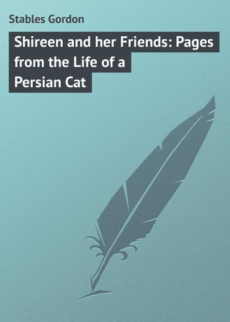 Shireen and her Friends: Pages from the Life of a Persian Cat