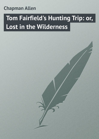 Tom Fairfield&apos;s Hunting Trip: or, Lost in the Wilderness