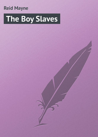 The Boy Slaves