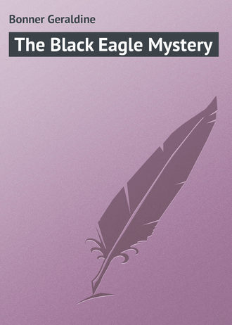 The Black Eagle Mystery