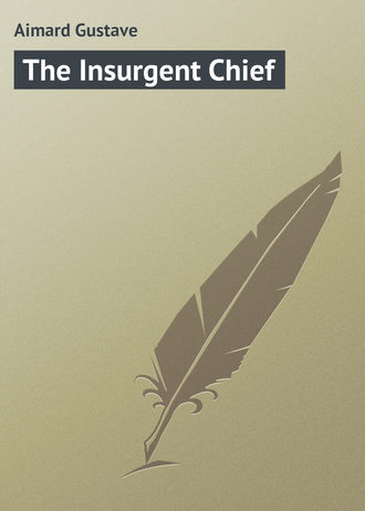 The Insurgent Chief