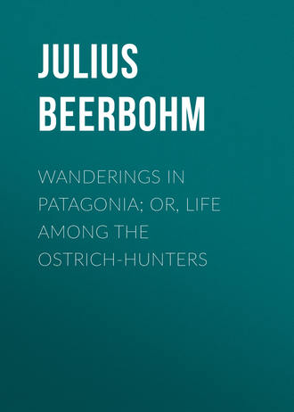 Wanderings in Patagonia; Or, Life Among the Ostrich-Hunters