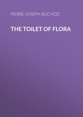 The Toilet of Flora