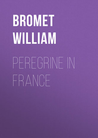 Peregrine in France