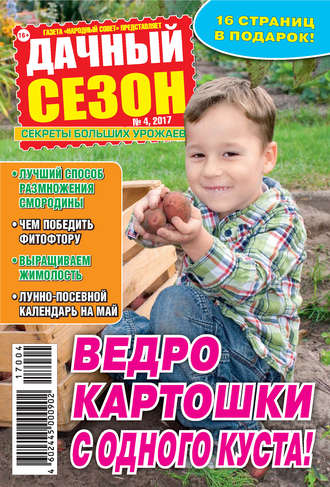 Дачный сезон №04/2017