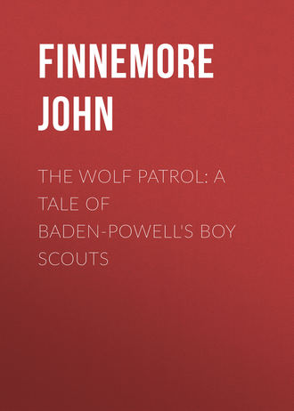 The Wolf Patrol: A Tale of Baden-Powell&apos;s Boy Scouts