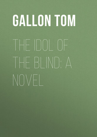 The Idol of The Blind: A Novel