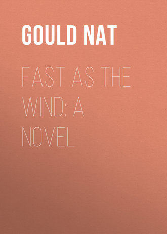 Fast as the Wind: A Novel