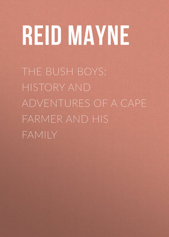 The Bush Boys: History and Adventures of a Cape Farmer and his Family