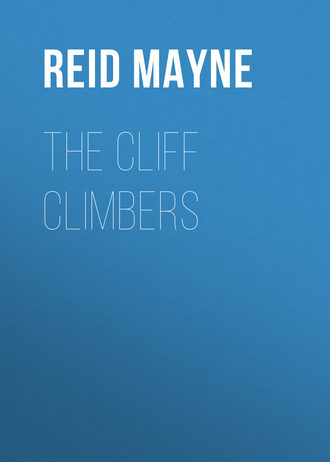 The Cliff Climbers