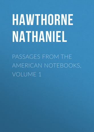 Passages from the American Notebooks, Volume 1