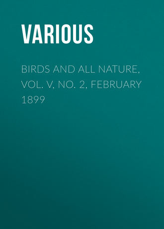 Birds and all Nature, Vol. V, No. 2, February 1899