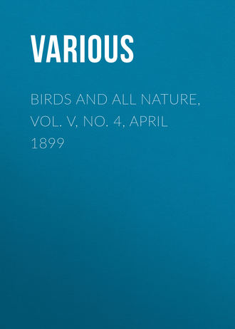 Birds and All Nature, Vol. V, No. 4, April 1899