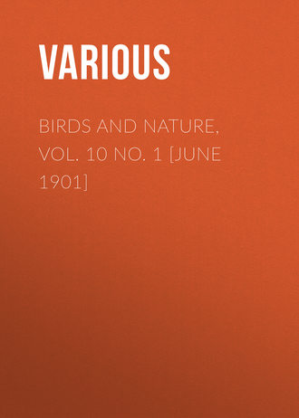 Birds and Nature, Vol. 10 No. 1 [June 1901]