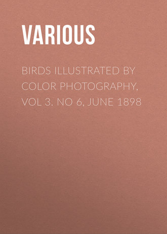 Birds Illustrated by Color Photography, Vol 3. No 6, June 1898