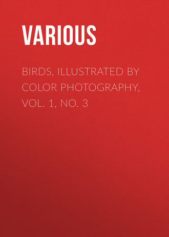 Birds, Illustrated by Color Photography, Vol. 1, No. 3