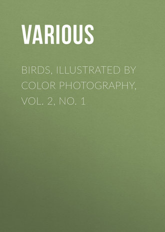 Birds, Illustrated by Color Photography, Vol. 2, No. 1