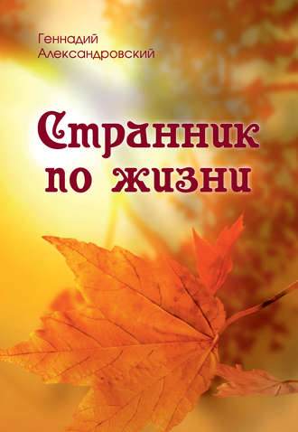 Странник по жизни (сборник)