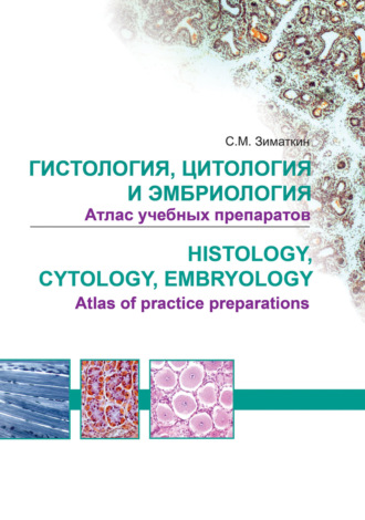 Гистология, цитология и эмбриология. Атлас учебных препаратов / Histology, Cytology, Embriology. Atlas of practice preparations