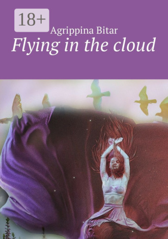 Flying in the cloud