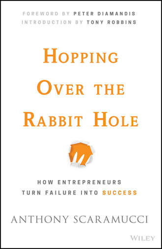 Hopping over the Rabbit Hole. How Entrepreneurs Turn Failure into Success