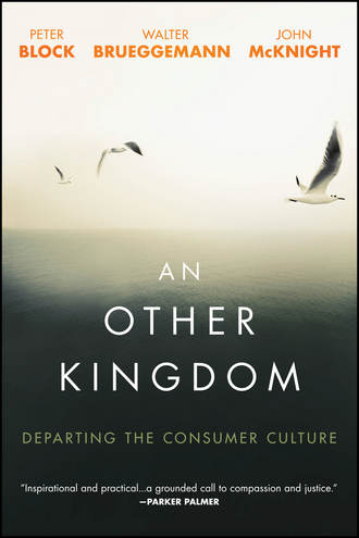 An Other Kingdom. Departing the Consumer Culture