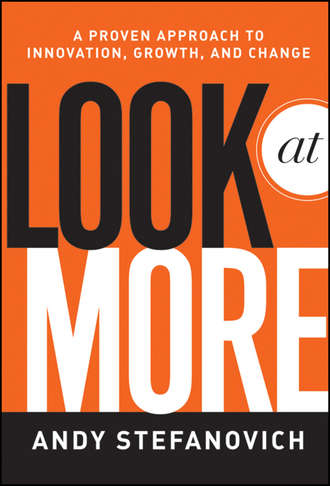 Look at More. A Proven Approach to Innovation, Growth, and Change