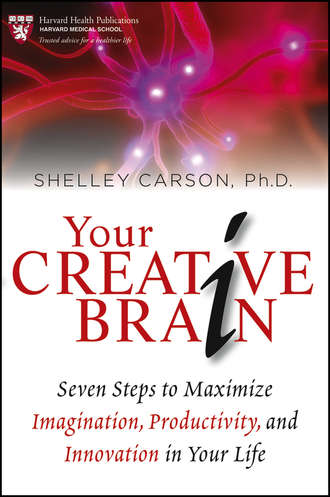 Your Creative Brain. Seven Steps to Maximize Imagination, Productivity, and Innovation in Your Life